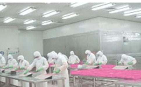 ܇�g��������(b��o)�����·�������