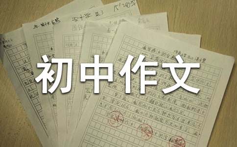 初中作文:那一瞬間