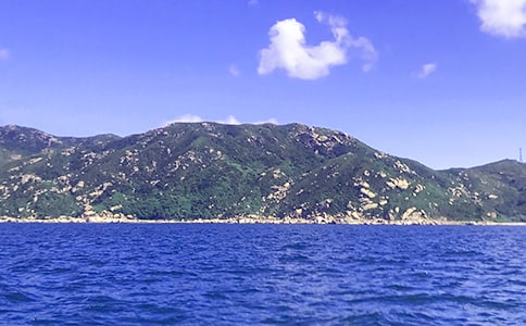 關(guān)于大海寫景作文300字集合六篇