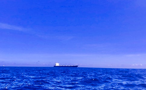 �󺣵�����600����ƪ