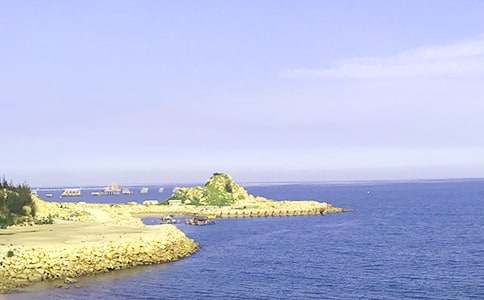 大海的作文10篇