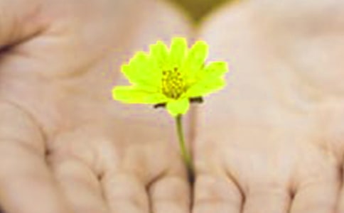 和女朋友吵架后的道歉信