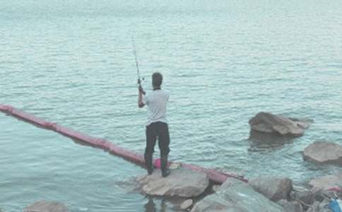 讀《釣魚的啟示》有感集錦15篇