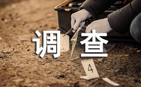 【實(shí)用】調(diào)查報(bào)告作文集合八篇