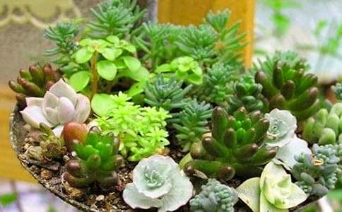 �^�������ӛ15ƪ