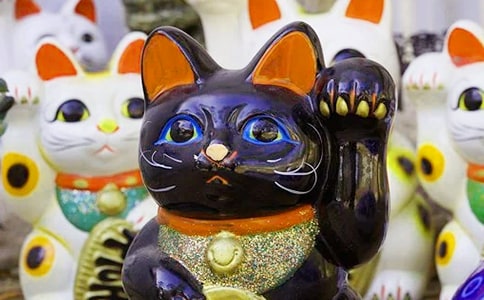 528日祝大家發(fā)財?shù)亩绦?0句