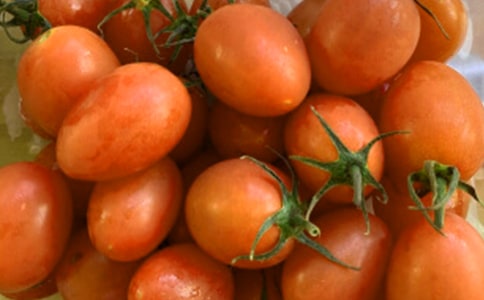 (優(yōu)秀)番茄炒蛋作文5篇