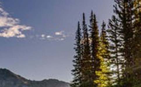 關(guān)于風(fēng)景的唯美句子