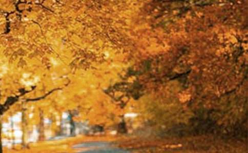 風(fēng)景感悟唯美句子