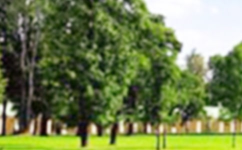 侏羅紀(jì)公園的觀后感