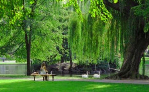 實(shí)用的公園作文500字優(yōu)秀【7篇】