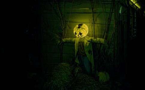 “鬼屋”歷險記作文