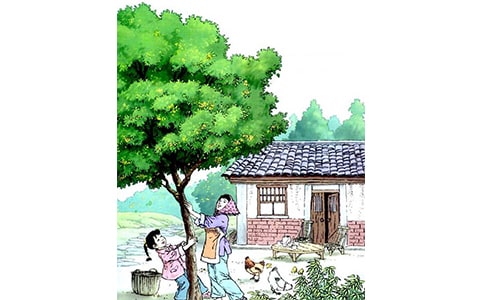 (����)�����꡷�n��