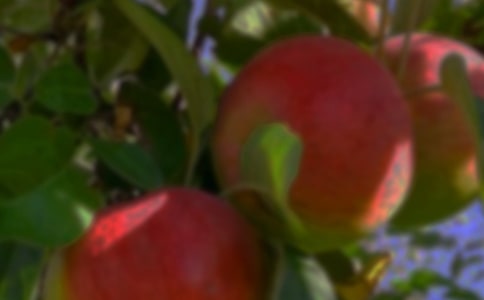 �S�յĹ��@����