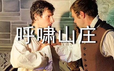 《呼嘯山莊》讀后感3篇