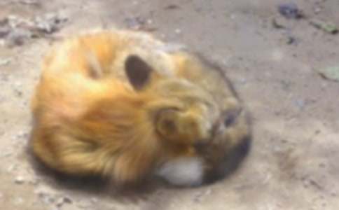 ��؂�c���f�Ĺ���[��15ƪ]