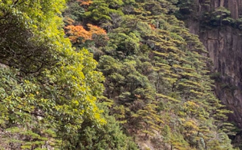 古人描寫黃山的詩句