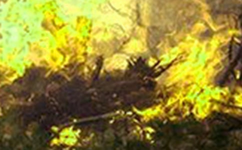 ���(z��i)���^��У�ͨ��25ƪ��