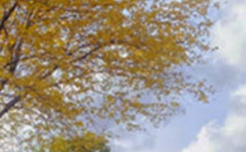 (優(yōu)秀)景色作文600字4篇