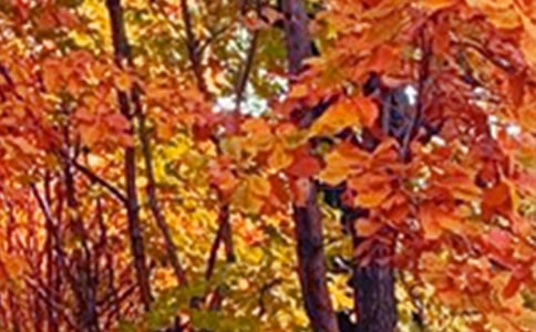 С�W(xu��)����ɫ������[ͨ��]