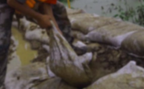 抗洪救災(zāi)感人故事