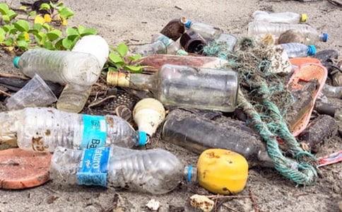 撿垃圾看圖寫話