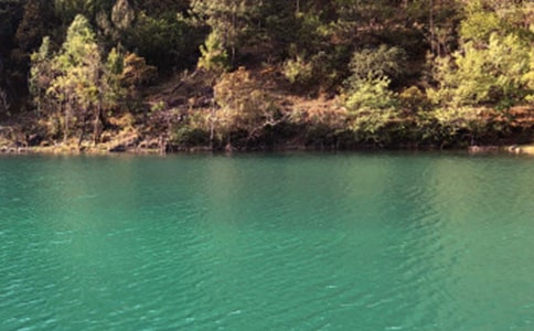 �����ųǵ�����