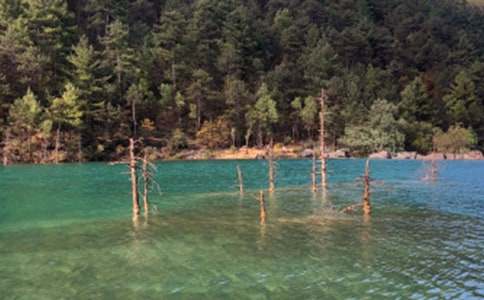 �����ų����ă�(y��u)�x��15ƪ��