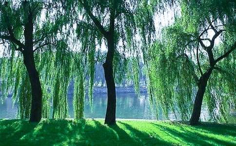 �茑���䄂�l(f��)ѿ�ă�(y��u)���Ķ̾�