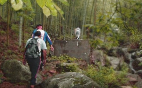 ���x��ɽ��ӛ������ƪ