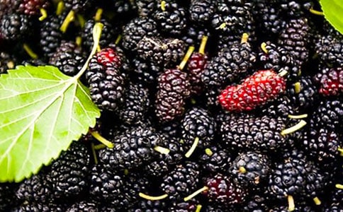 ժɣ�����ă�(y��u)�x15ƪ