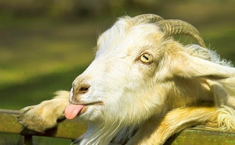 ɽ���^(gu��)��(d��)ľ�򿴈D��(xi��)Ԓ