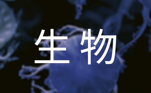 八年級(jí)生物教案 植物的生殖