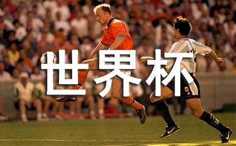 世界杯觀后感