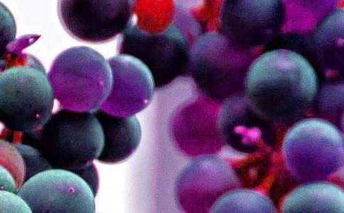 С��ƌW�̰�:�óԵ�ˮ��