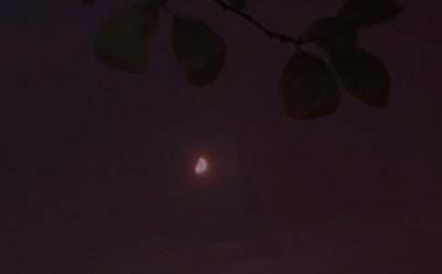 2025年常用優(yōu)美的晚安心語短信匯編46條