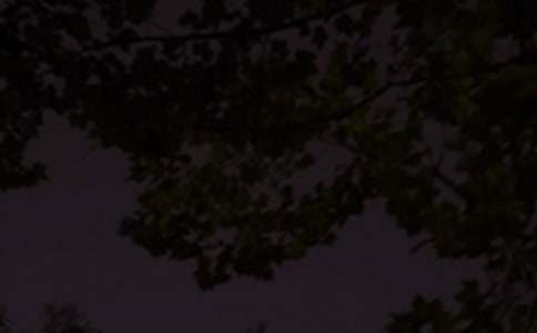 ������������Z(y��)