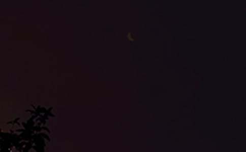 �����T��2026������ϵ�������Z���źϼ�73�l