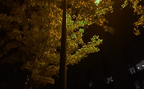 甜蜜的晚安短信