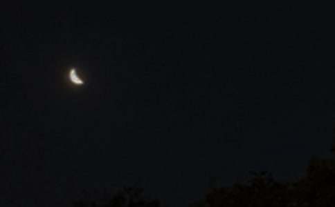 美好的晚安心語(yǔ)短信摘錄78條