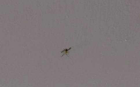 �P(gu��n)�����ӵ����ă�(y��u)��[15ƪ]