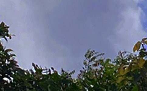 2026年優(yōu)美的午安問(wèn)候語(yǔ)短信大集合73句