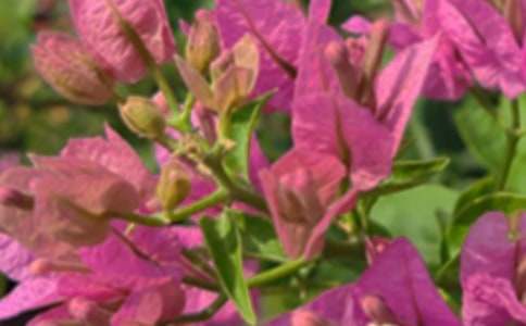 ��ů���簲΢�ņ����Z�R��69�l