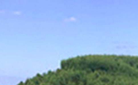 溫馨午安短信(精選40句)