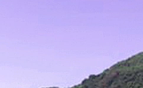 2026年溫馨的午安心語短信81條