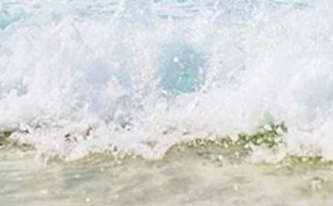 �茑����������Ԋ��