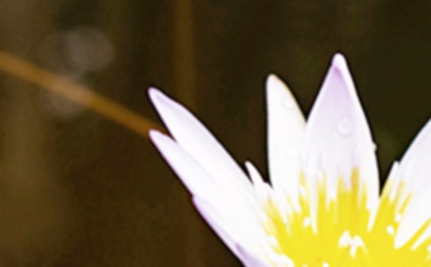 ������(ji��)��ā�v���L(f��ng)��