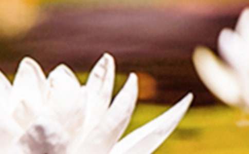 �����ϡ�������ʲô�r(sh��)��