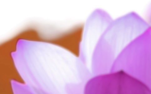 �P(gu��n)�������ĺ��x���L(f��ng)����ʲô