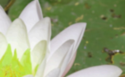 �����ĺ��x���L(f��ng)��